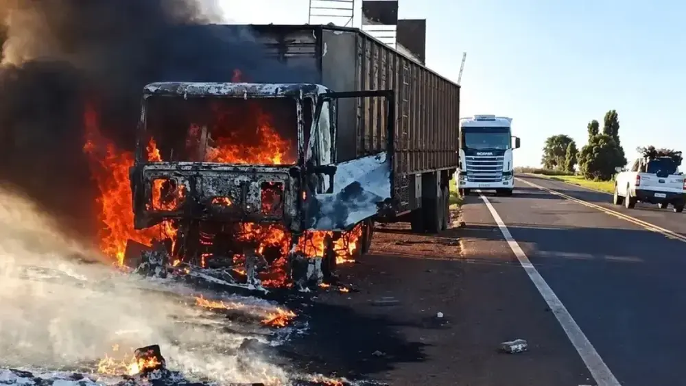 Bois soltos na MS-395 após carreta pegar fogo