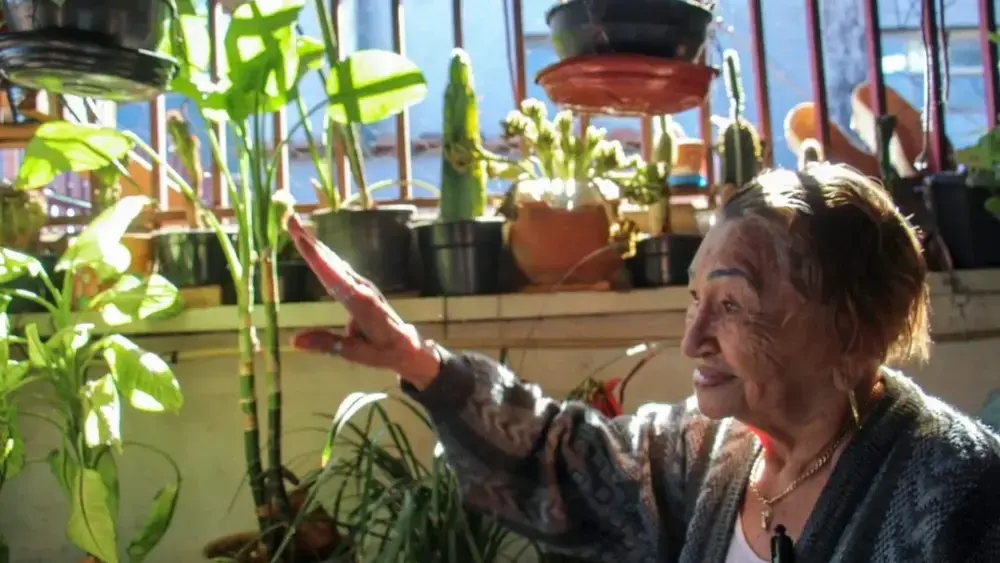 Brazil Antonia prays for plants that failed in barren lands