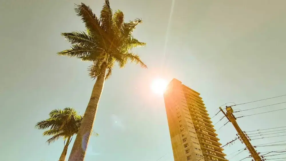 Brazil city leads national health and climate projects