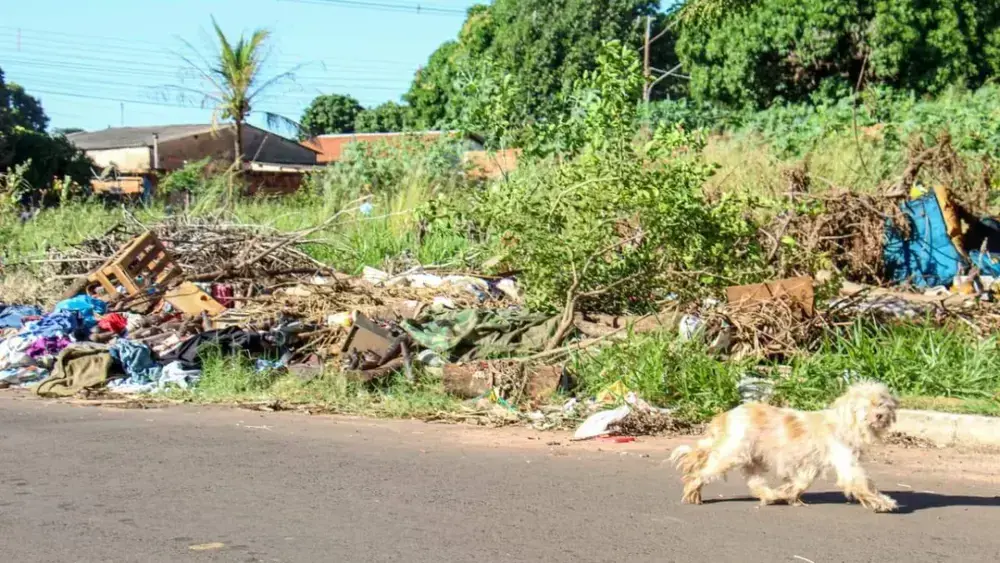 Brazil cracks down: overgrown lots and trash now cost up to $12.8K