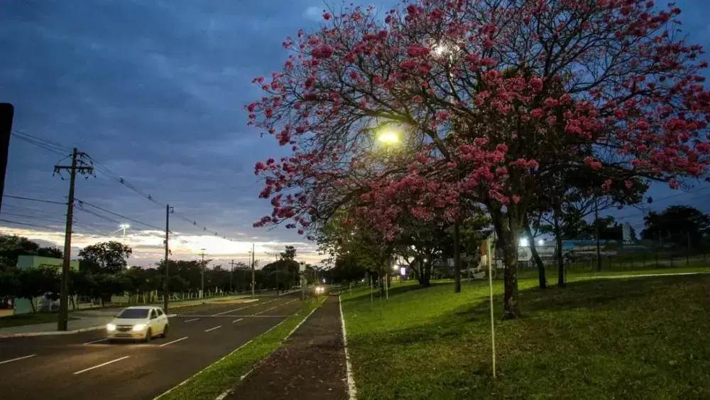 Brazil cyclone formation brings unstable weather to part of MS