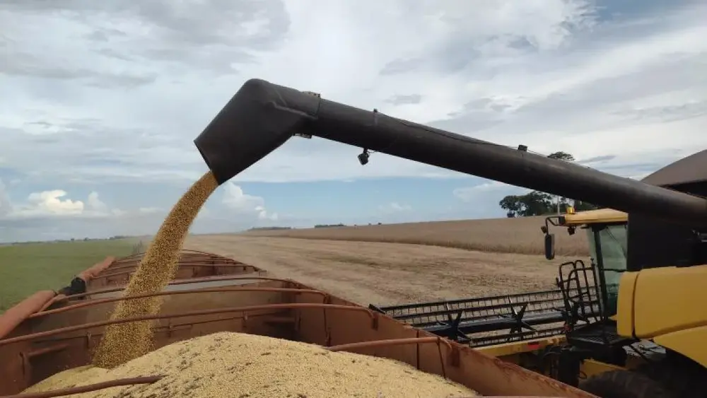 Brazil soybean exports surge 41% to $385 million in MS