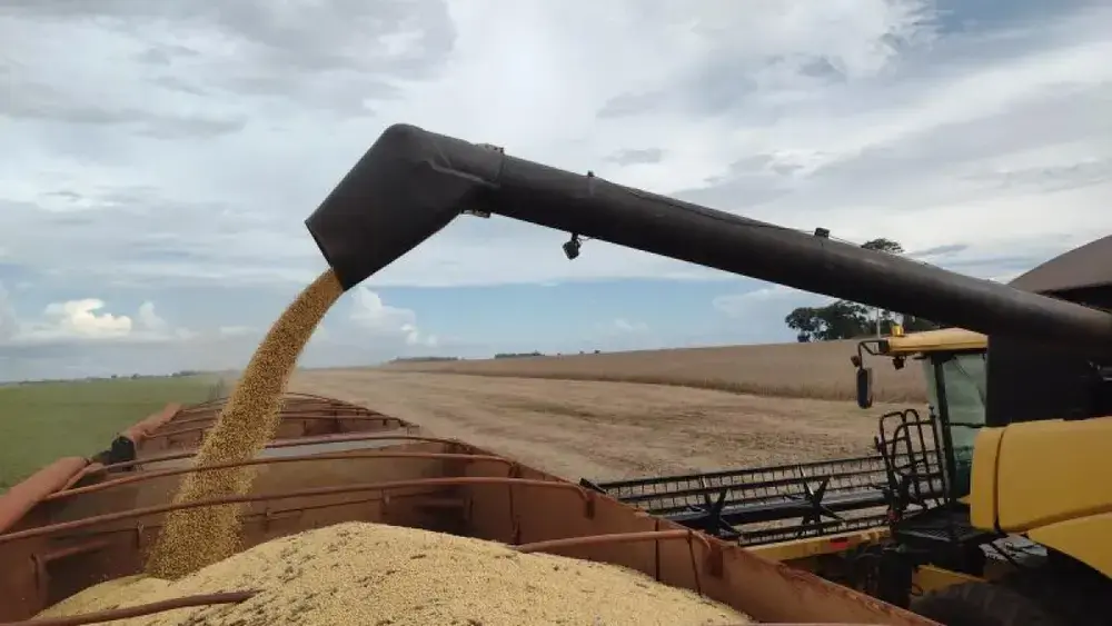 Brazil soybean exports surge 41% to $385 million in MS