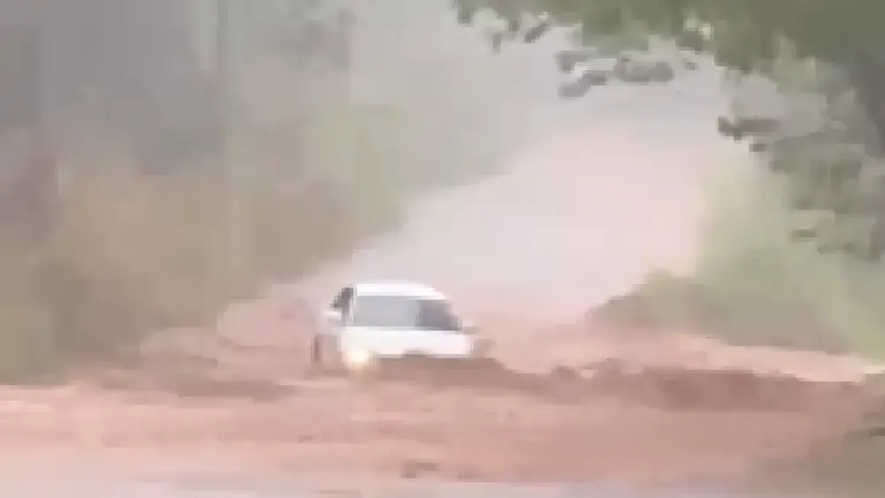 Chuva forte alaga ruas e derruba árvores em Campo Grande