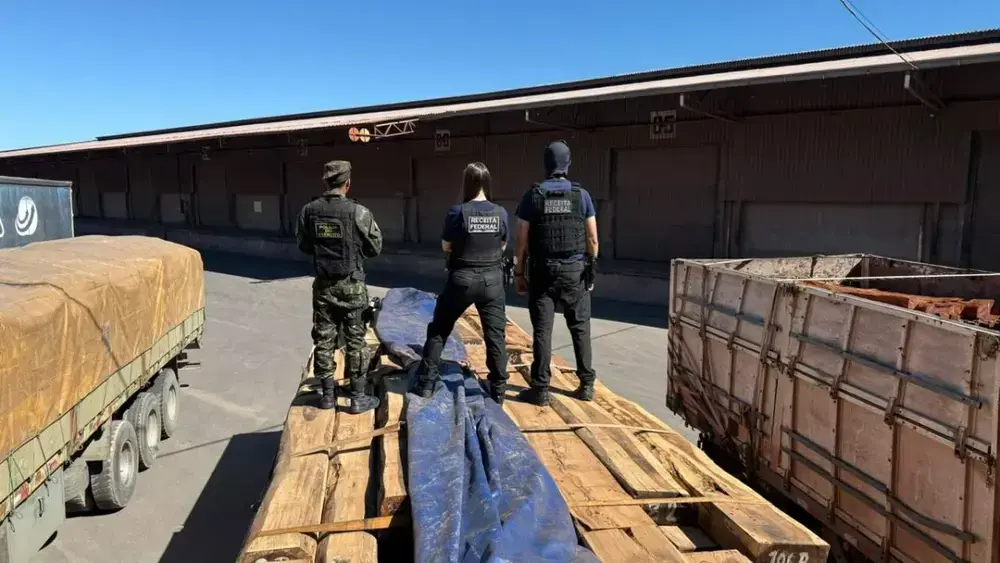Laudo preliminar nega cocaína em madeira apreendida em Corumbá