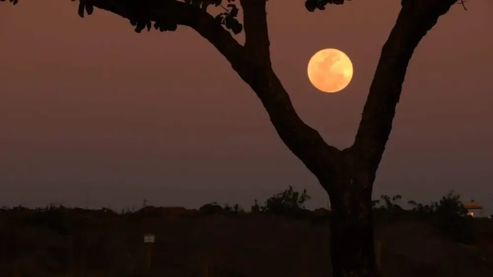 Lua de Morango colore o céu de fogo em MS
