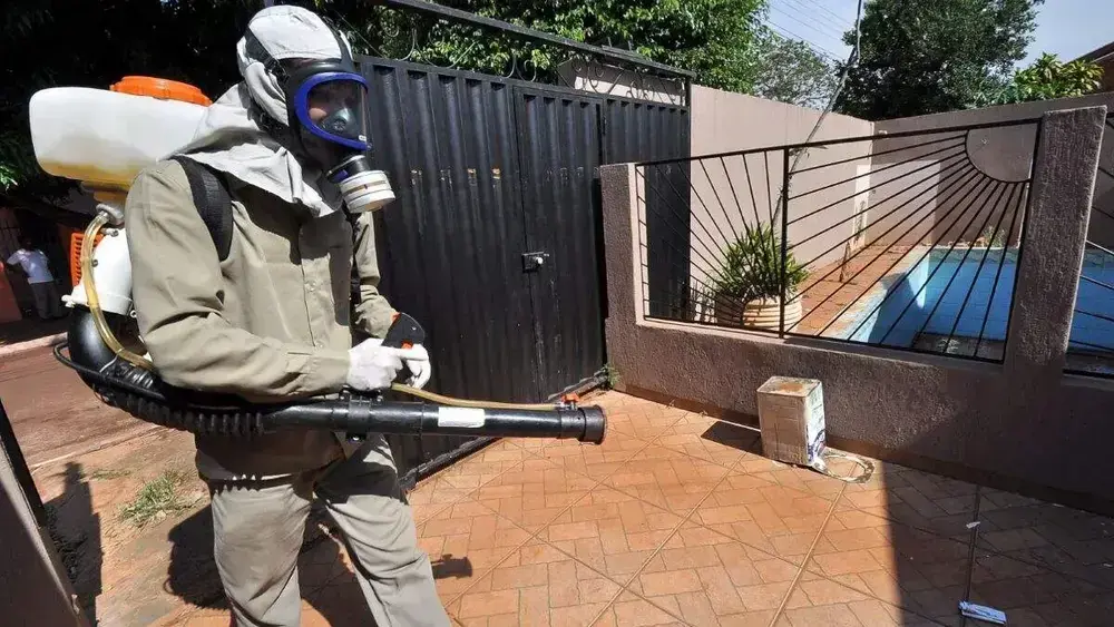 Mortes por chikungunya em MS superam soma de 11 anos