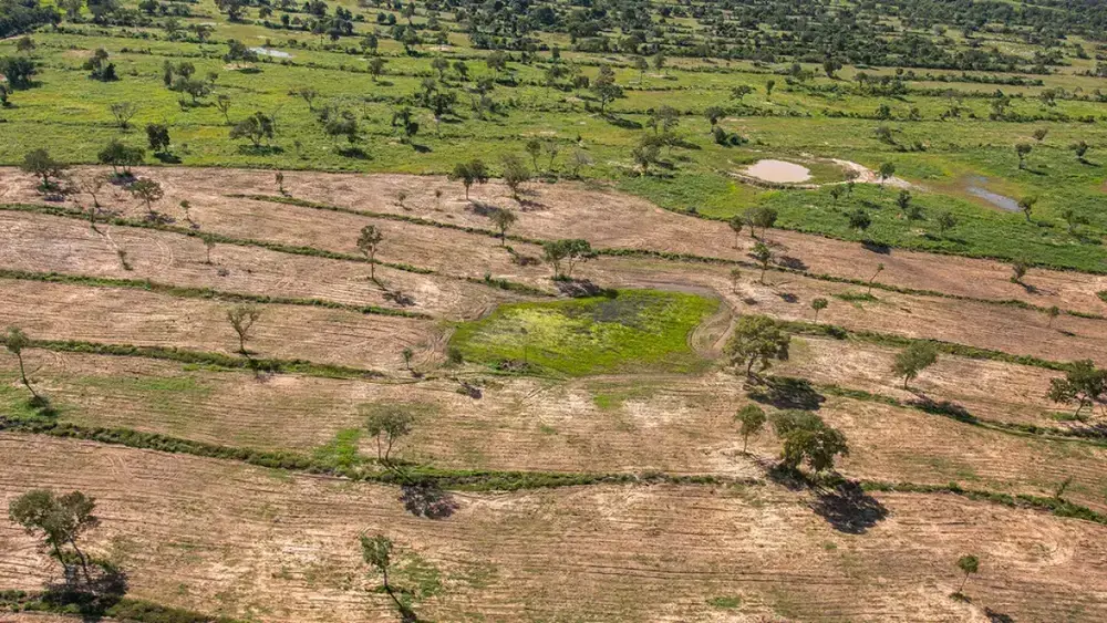 MPMS cria unidade regional para combater incêndios e desmate no Pantanal