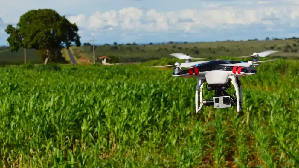 MS é 9º no ranking de uso de drones no agro