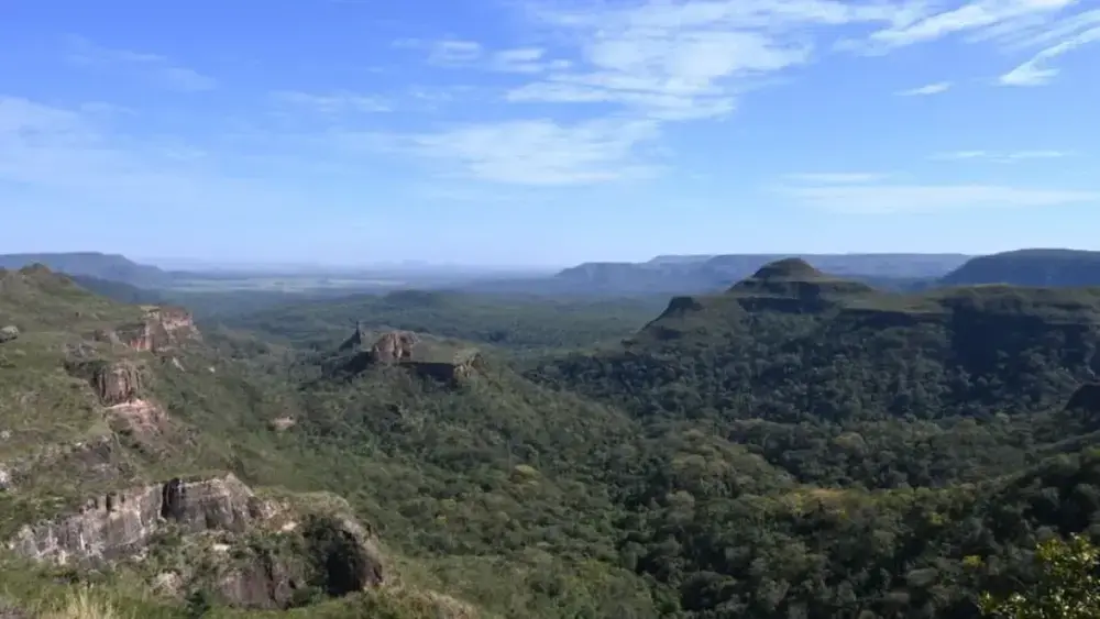 Pantanal lidera queda no desmatamento; Cerrado recua 11,5%